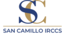 San Camillo IRCCS